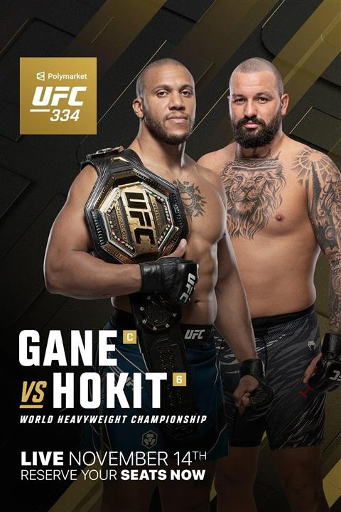 UFC 334 image
