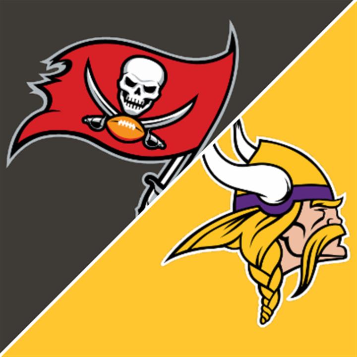 VIKINGS VS. BUCCANEERS Movie Poster