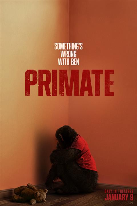 Primate poster