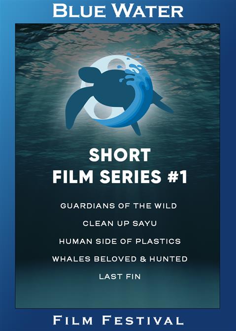 BWFF Short Film Series #1 poster