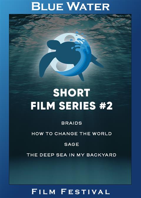 BWFF Short Film Series #2 poster