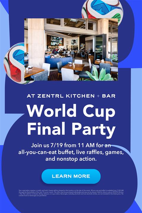 World Cup Final Watch Party FI image