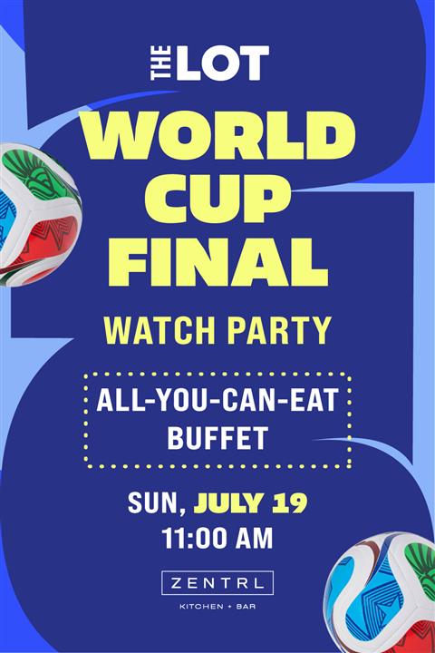 World Cup Final Watch Party image